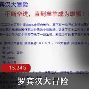 （罗宾汉大冒险）百度内部盘国语版