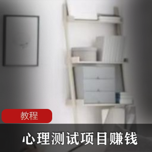 （心理测试）项目赚钱教程