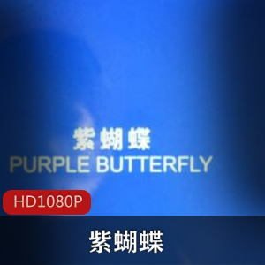 电影《紫蝴蝶》:娄烨经典珍藏推荐