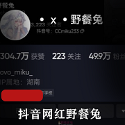 最新款抖音网红野餐兔私拍照片