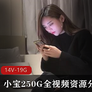 绝版资源：小宝全视频分集8-14V，总大小19.1GB
