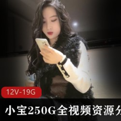 小宝全视频资源，250G，分集5，12V，19.1GB