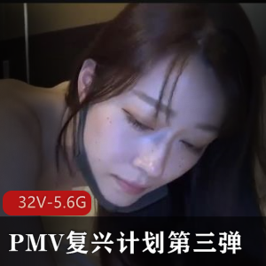 PMV复兴计划第三弹合集，名场面精彩剪辑，32V-5.6G视频内容丰富
