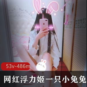 浮力姬一只小兔兔作品合集,53个视频,486mb,百度云下载