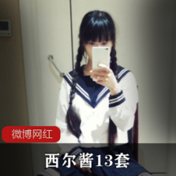 西尔酱，13套