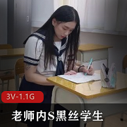 《黑丝学生妻子水电工老师3V合集,总大小1.1G》