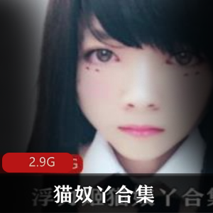 猫奴丫:口味资源合集,美腿小荷包,2.9G精彩视频等你来探究!