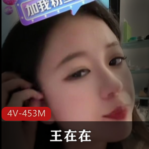 王在在抖音合集4V453M激爽资源