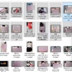 momoyih黑丝肉腿私拍81部41.4G珍藏典藏