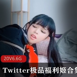 劲爆小L莉合集推特20部6.6G