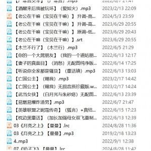 推特骚麦银词艳曲合集397v79g优质