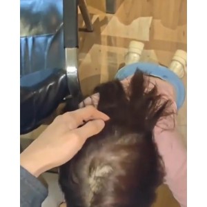 推特姐弟绝密后续25部699.7MB